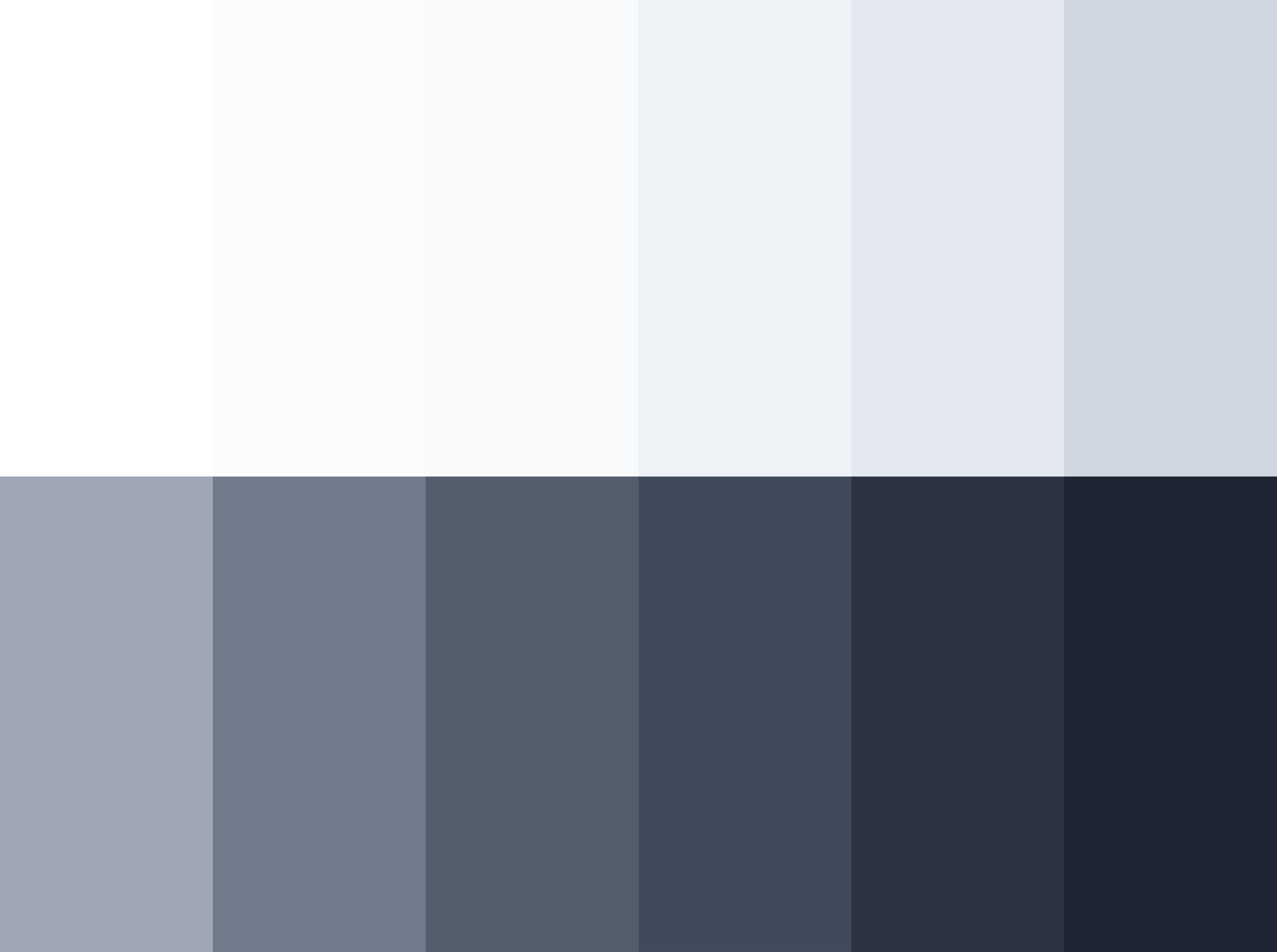 Google Material Colors Palette Copy Paste Webflow Cloneable
